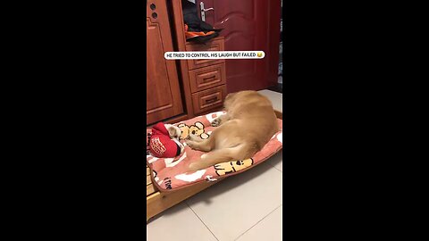 dog 🐕🐶