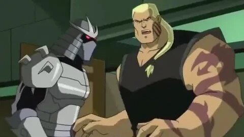 Teenage Mutant Ninja Turtles (S02E19) - Rogue in the House (Part 1)