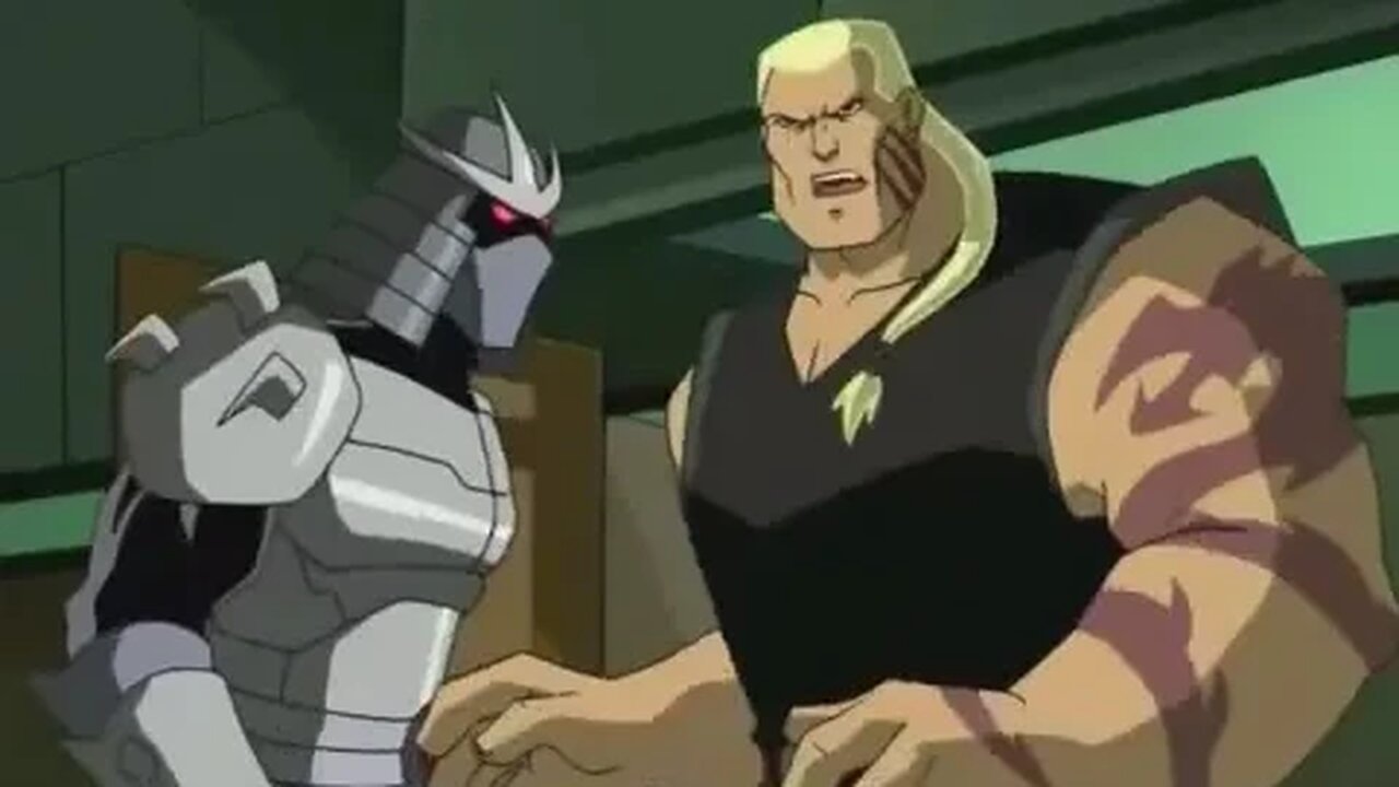 Teenage Mutant Ninja Turtles (S02E19) - Rogue in the House (Part 1)