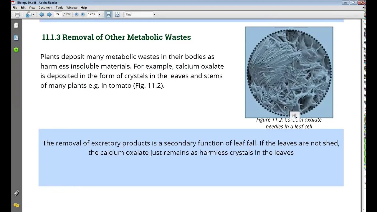 10th Class Bio Osmotic Adjustment in Plants