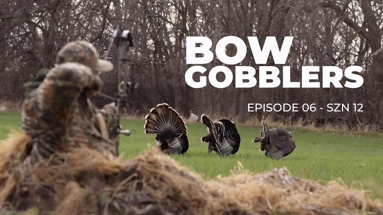 BOWHUNTING TURKEYS!!!