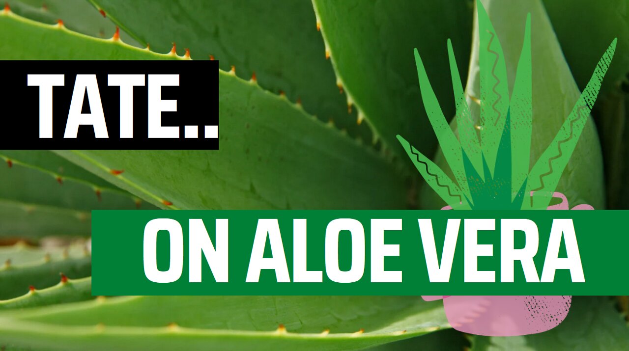 Tate on aloe vera