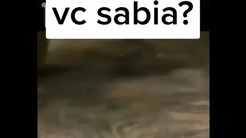 GARANTO QUE VOCE NAO SABIA DISSO , VOCE SABIA ? ( MEME ) ( VIRAL ) #SHORTS