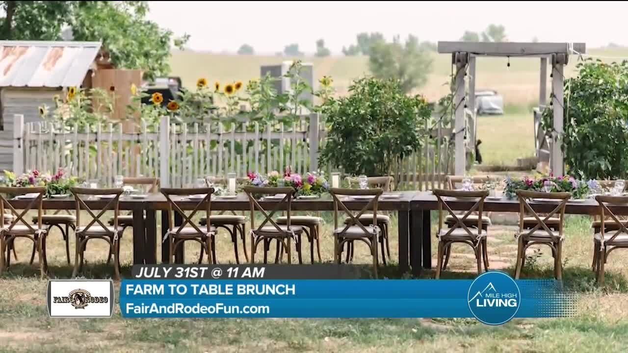 Farm To Table Brunch // Douglas County Fair & Rodeo