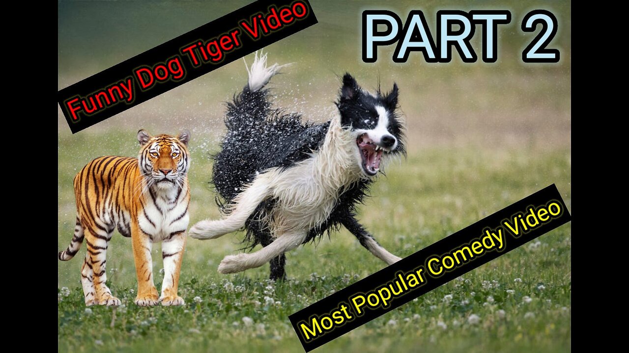 Dog Funny & fake Lion Prank To dog Best Dog Comedy Part.2