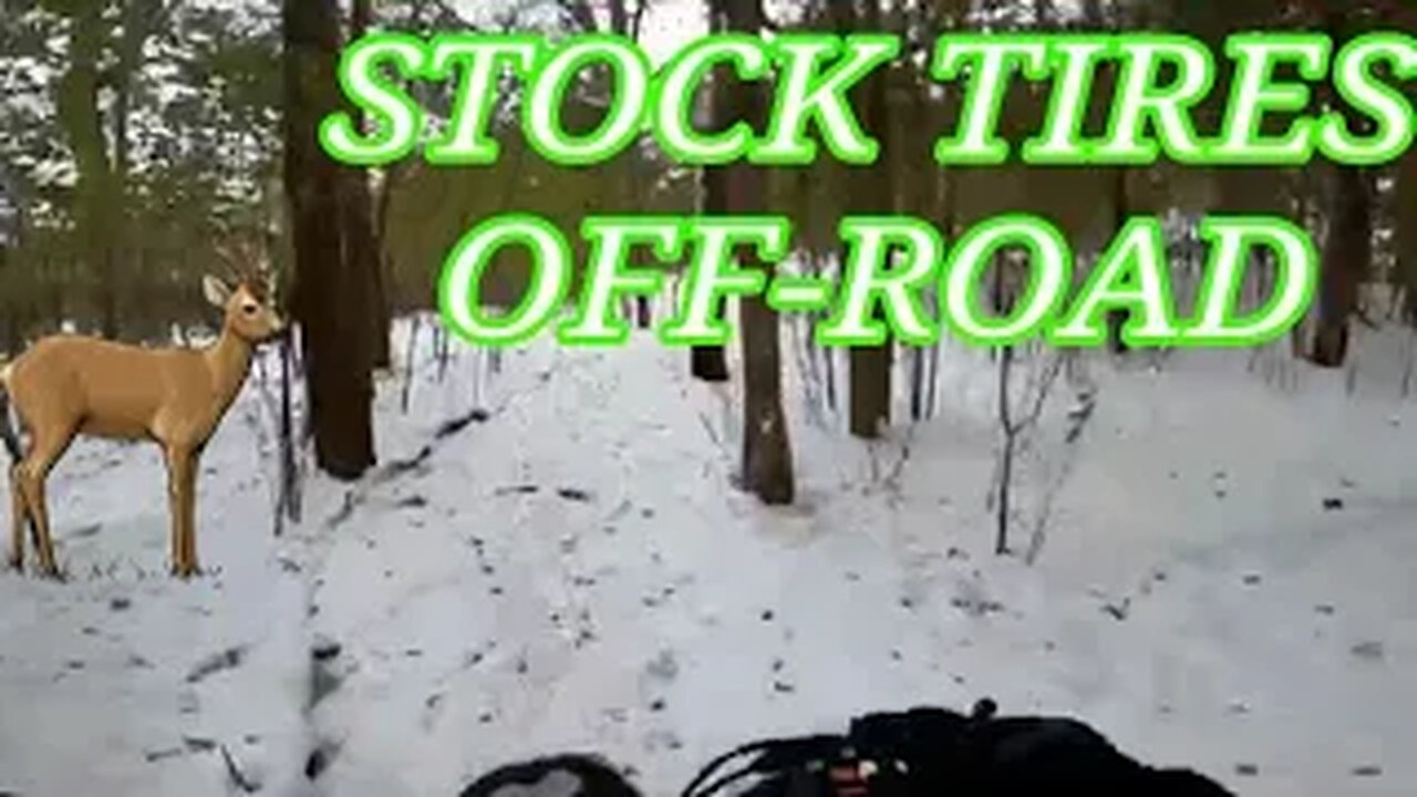 Mostly Off Road In The Snow With The Honda Navi 110cc Motorcycle