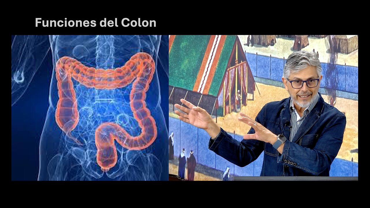 Funciones del Colon