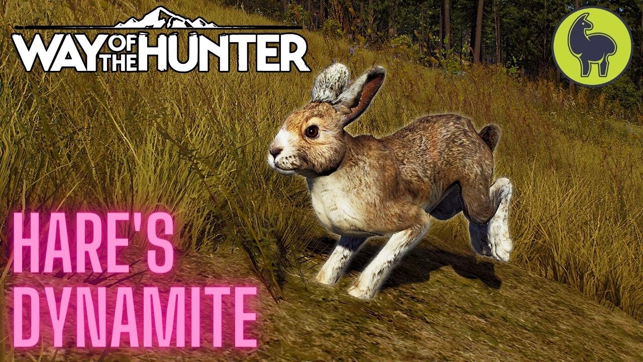 Hare's Dynamite, Nez Perce Valley | Way of the Hunter (PS5 4K)