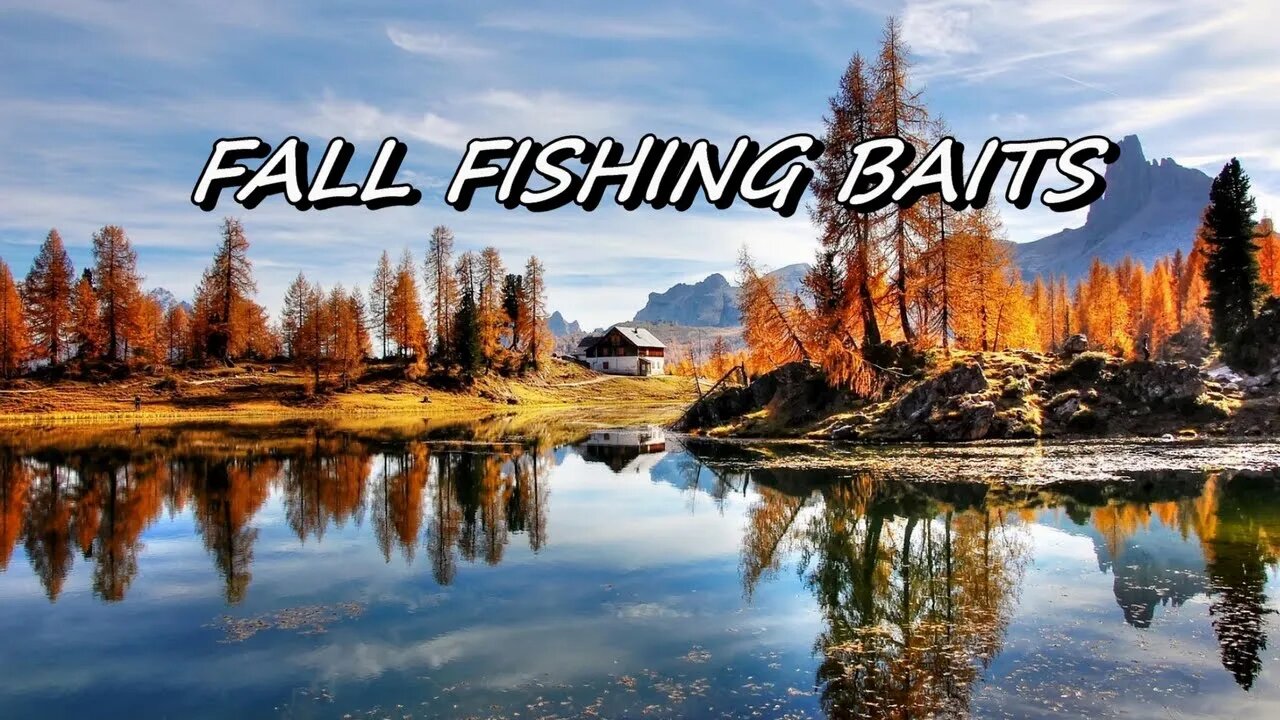 Fall fishing baits! What to use when the temps go down?