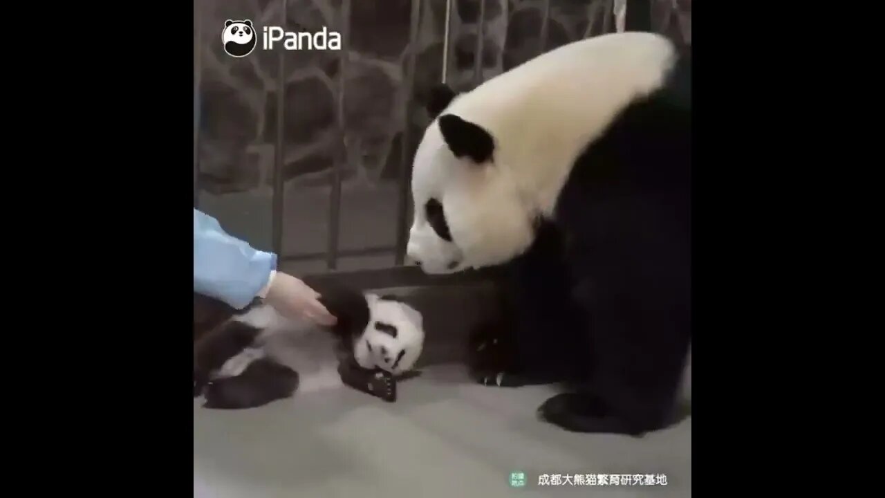 MUM will always be MUM