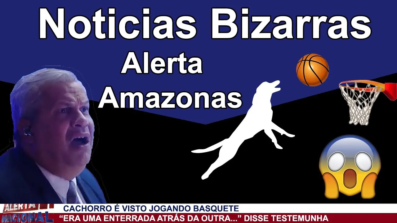 REACT - NOTICIAS BIZARRAS DO ALERTA AMAZONAS!!! (SIKERA JR)