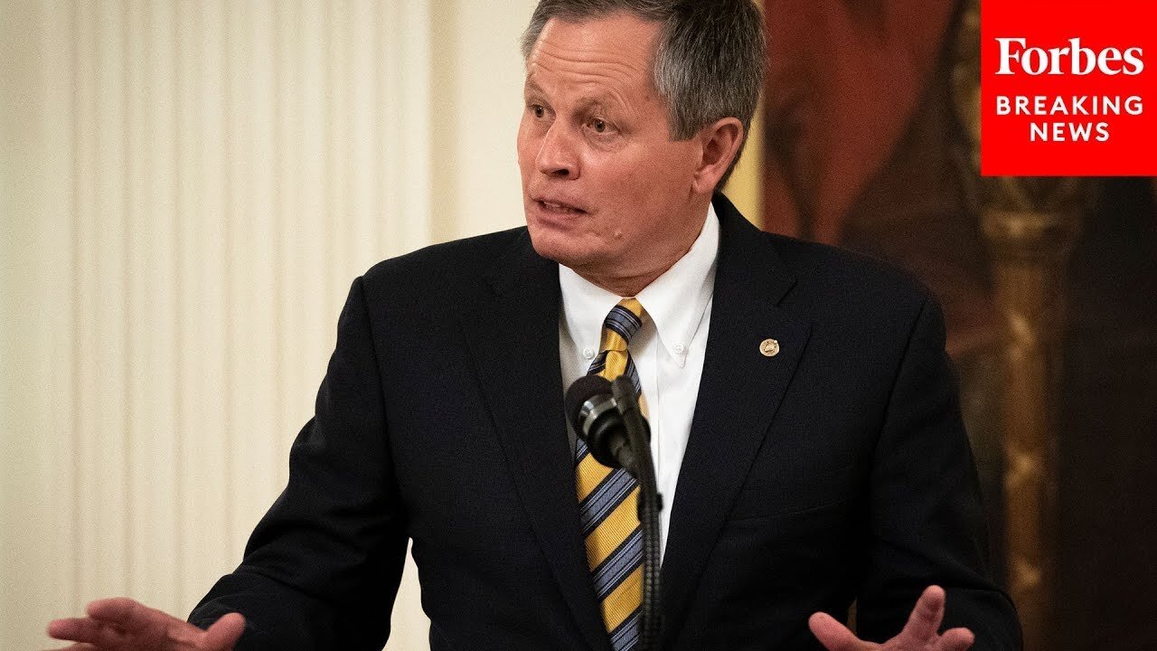 Steve Daines: 'We Are A Northern Border State, In Montana, With A Southern Border Problem'