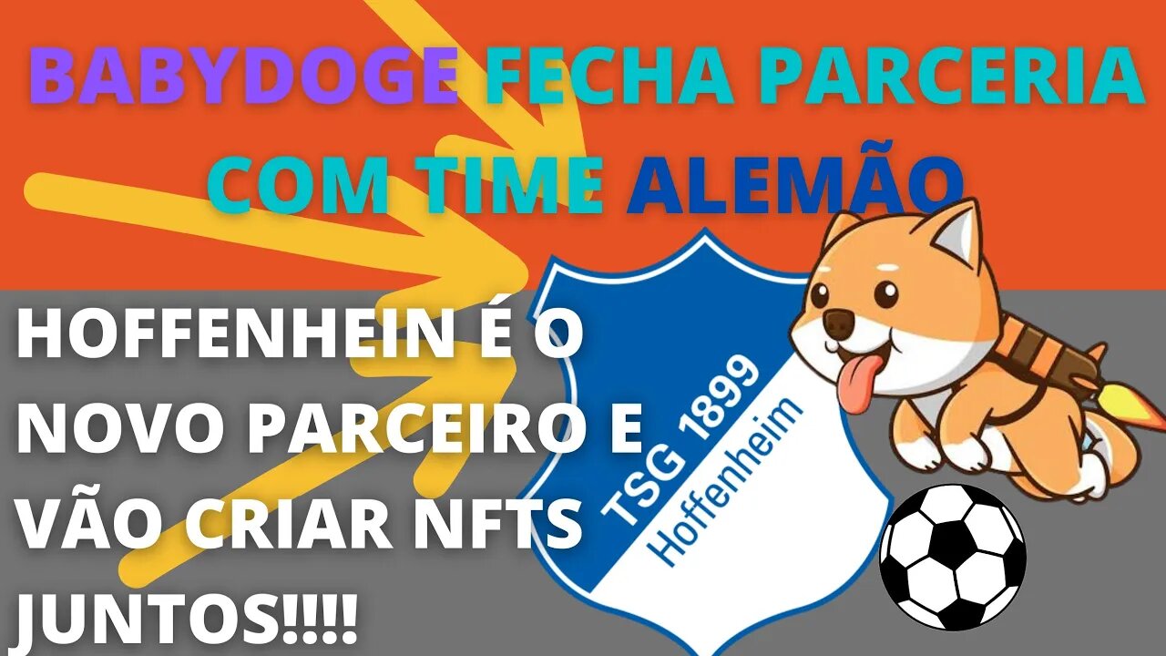 #babydoge fecha parceria inédita com time alemão - 136