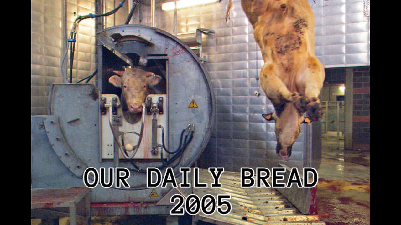 Our Daily Bread (2005 film)