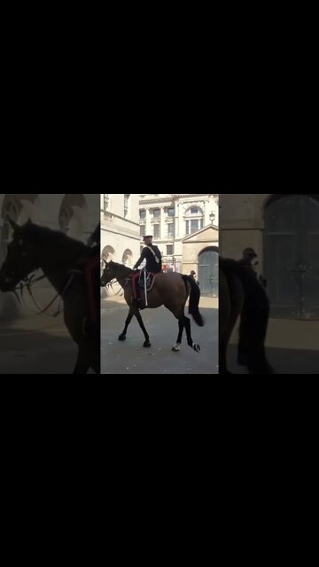 The colonel salute the guard #horseguardsparade