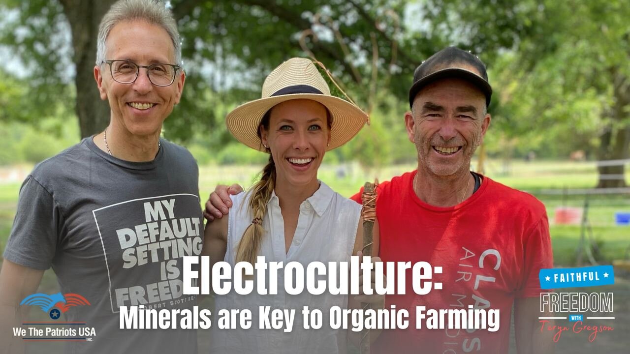 Minerals are the Key to Organic Gardening, How to Benefit from Electroculture | Ep 104