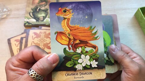 Unboxing Field Guide To Garden Dragons by Stanley Morrison and Arwen Lynch