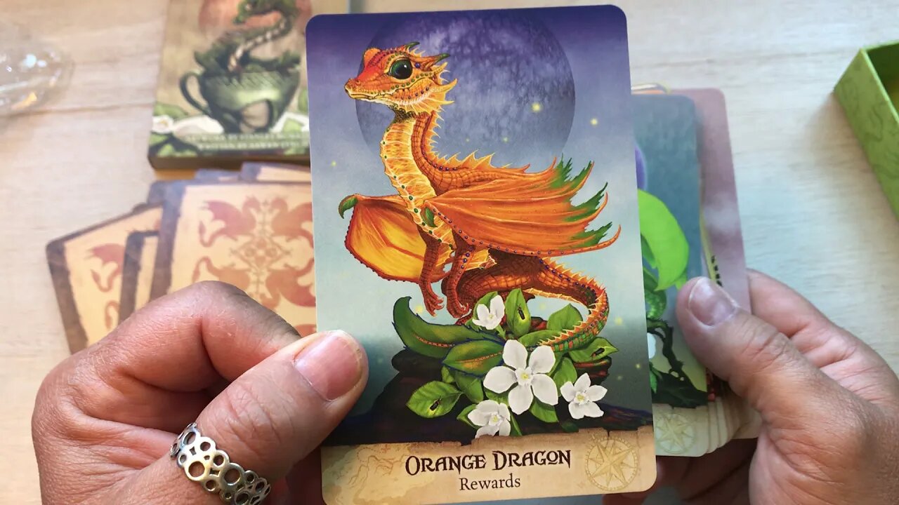 Unboxing Field Guide To Garden Dragons by Stanley Morrison and Arwen Lynch