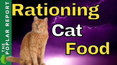 Walmart Restricts Cat Food Sales | Viewer Updates
