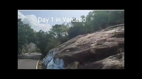 First day a trip to Yercaud from Salem by bus,#tourvlog,#yercaudtrip,#yercaudhills,#firstday,#travel