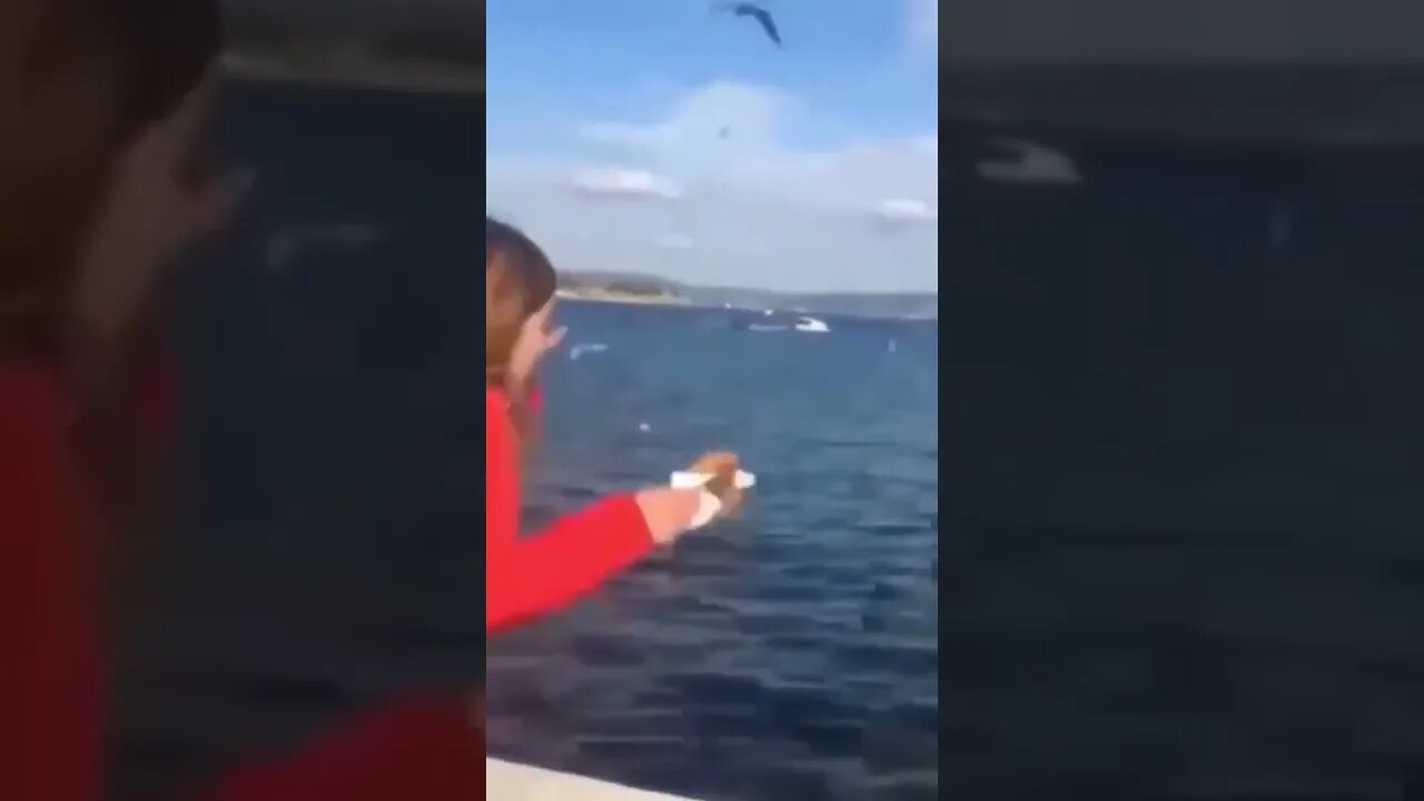 distraídos perdendo o celular 😂😂😂