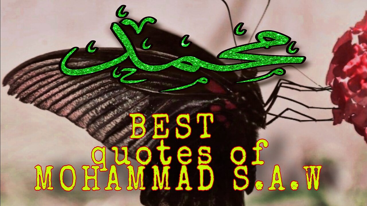 Quotes 50 by Mohammad S.A.W | best new quote English| Islamic quotes| heart touching quotes