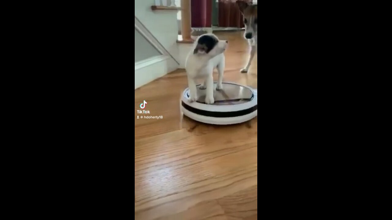 Robot vacuum rider