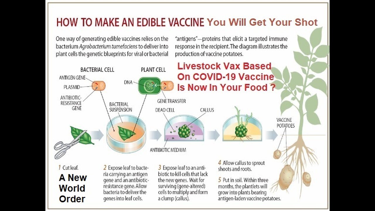 What’s in a Covid-19 Vaccine? - Everyone Will Now Get Edible Vaccine in Your Food