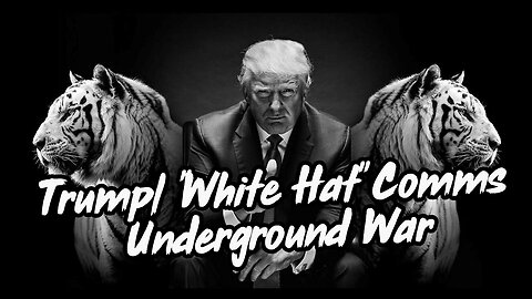 Q+ Trump/"White Hat" Comms | Underground War