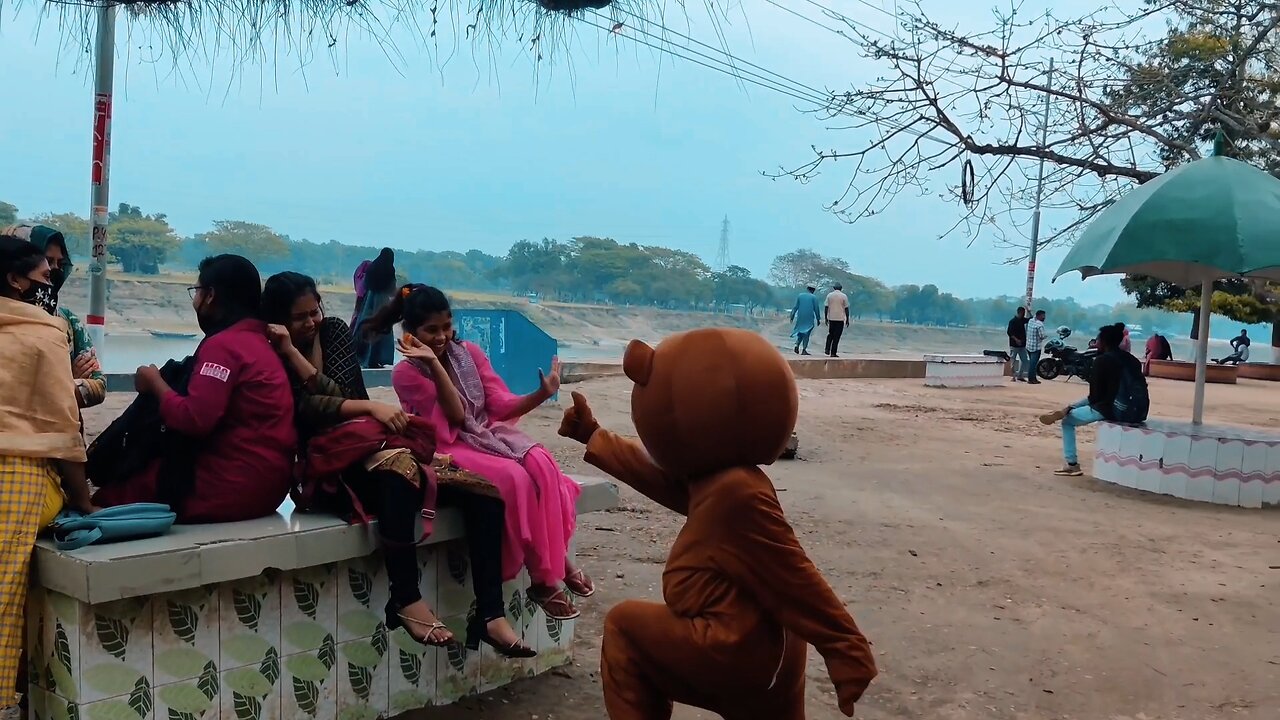 Teddy funny video | Teddy fun | teddy