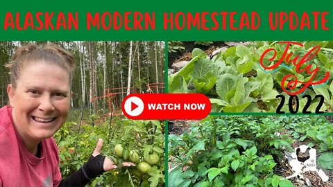 Alaskan Modern Homestead Update | Garden | Chickens | Improvements | July 2022