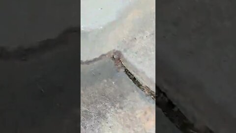 #gangstalking perp walk 05/17/2022 Pt. 3