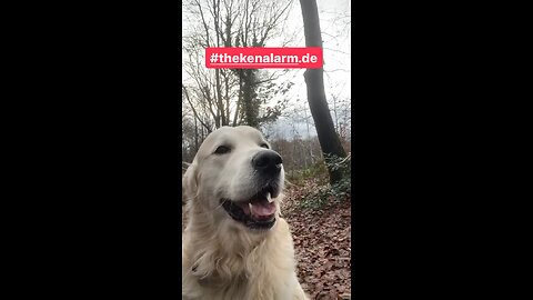 AUF RESERVE