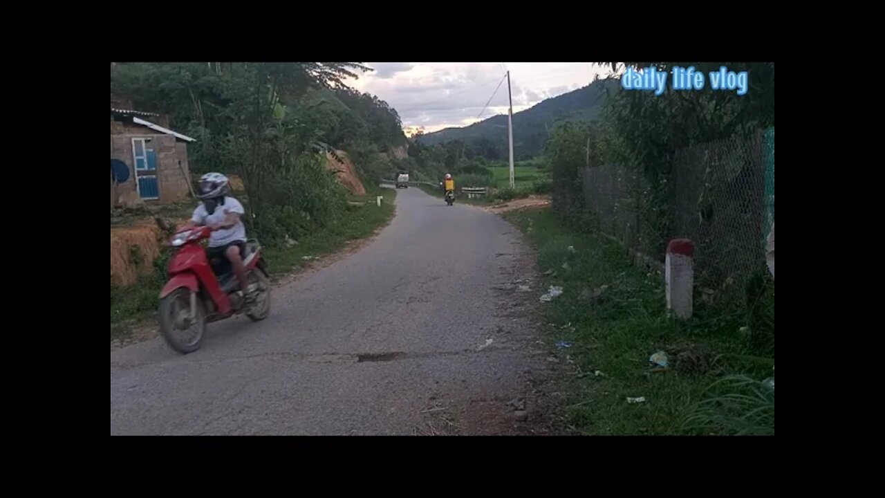 My hometown path | daily life vlog