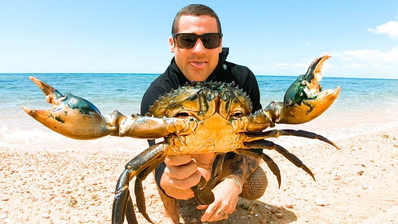 How to catch monster mud crabs