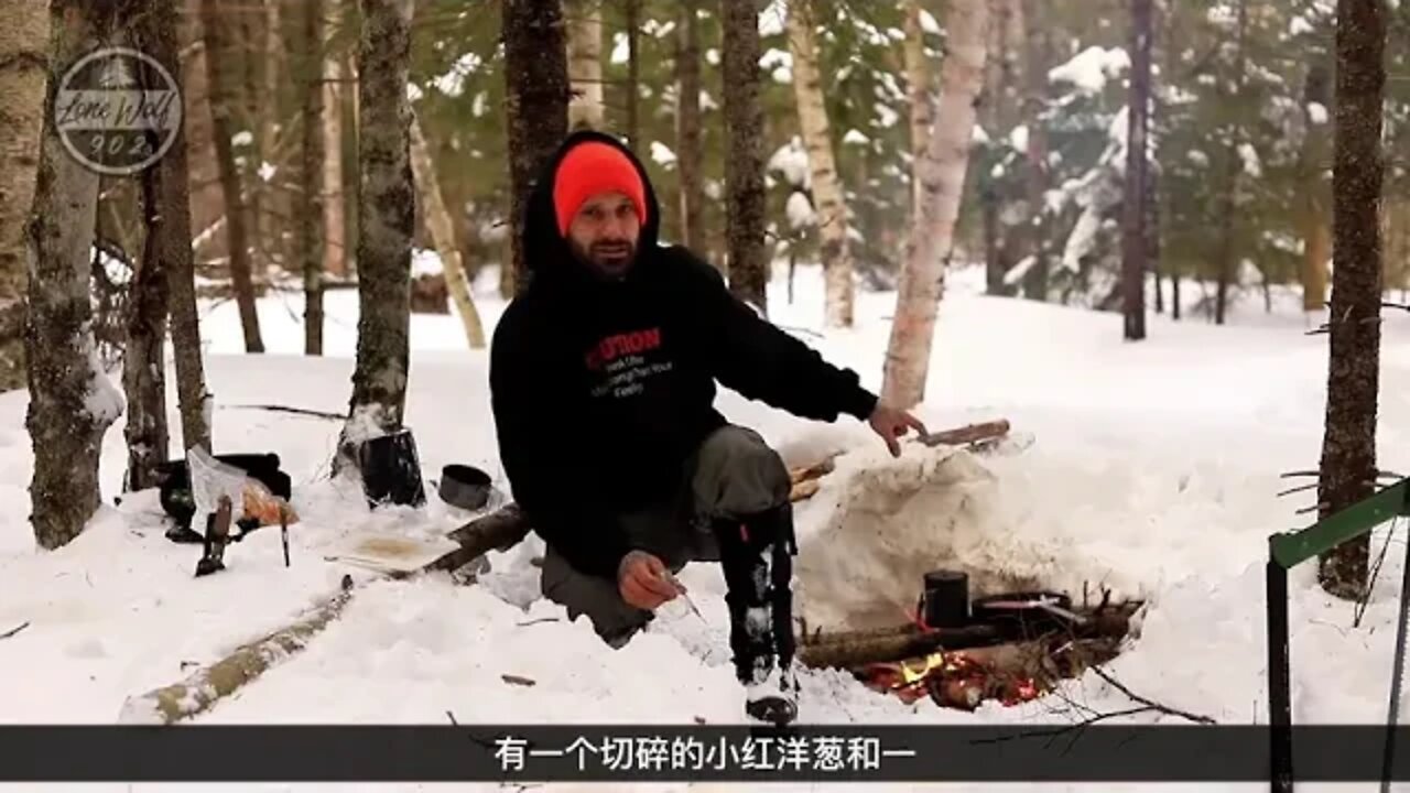 Camp in a hammock in winter 7