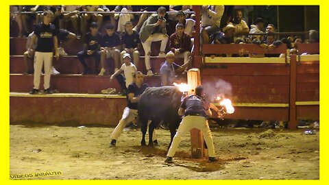 NOVALLAS ( ZARAGOZA ) NOCHE TORO DE RONDA ( SABADO 16 SEPTIEMBRE 2023 ) GANAD.P.DOMINGUEZ