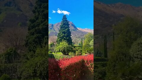 Spring in Italy. #Italy #Lakecomo #travelshorts #spring