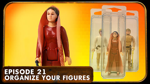 How to Organize Your Star Wars Action Figure Collection