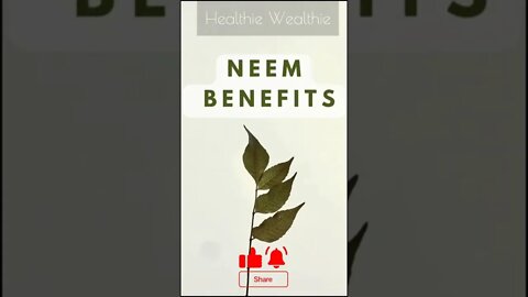 The Healthiest Plant You've Never Heard Of || Healthie Wealthie