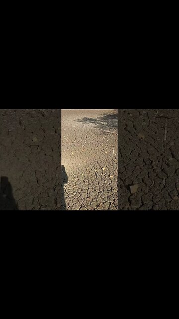 Pond goes Completely Dry