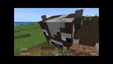 Minecraft Gameplay ToToy Games X NEWxXx Games