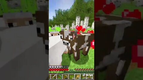 Minecraft 1.19 Survival Realms THE DEEP! New Server Fresh Start Java Edition PC SMP LP TikTok Gaming