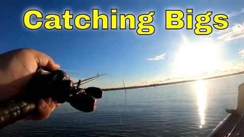 Big Swimbaits and Big Top Waters