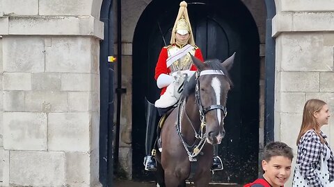 making fun of the King's guard #horseguardsparade
