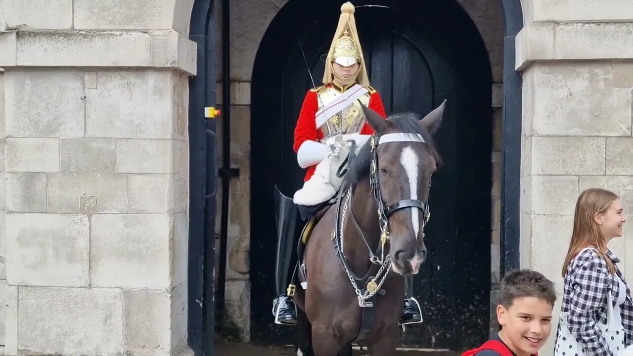 making fun of the King's guard #horseguardsparade