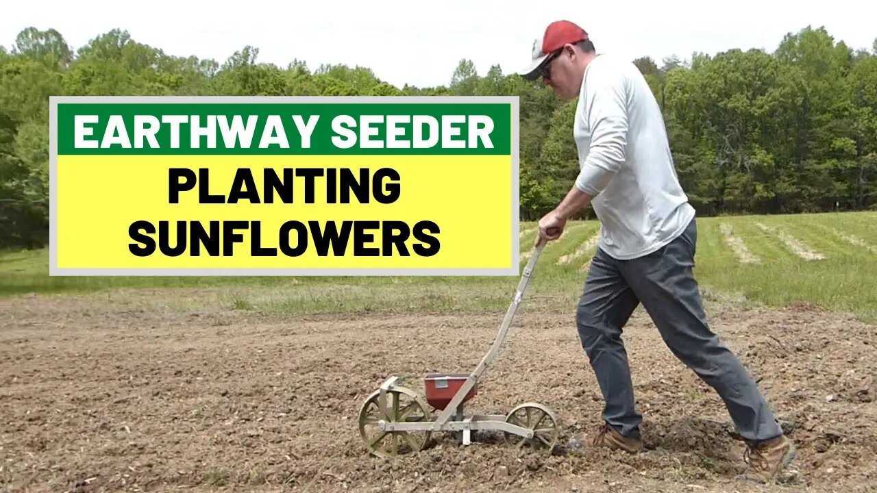 #131 Planting Sunflowers With The Earthway Garden Seeder on Our Small Farm