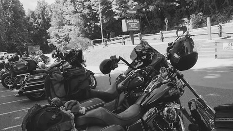 Tail of the Dragon - Deals Gap July 6, 2022 (S3 E46)
