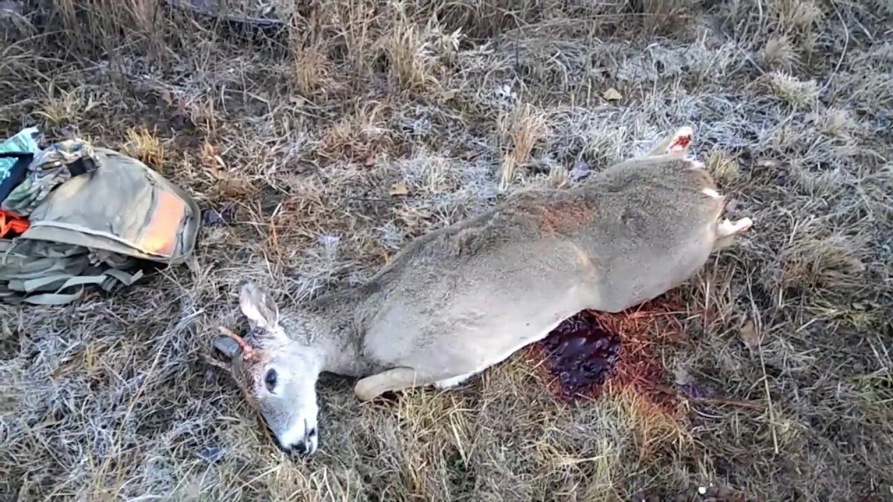Opening Weekend 2019 Deer Gun Season. Viewer discretion is advised