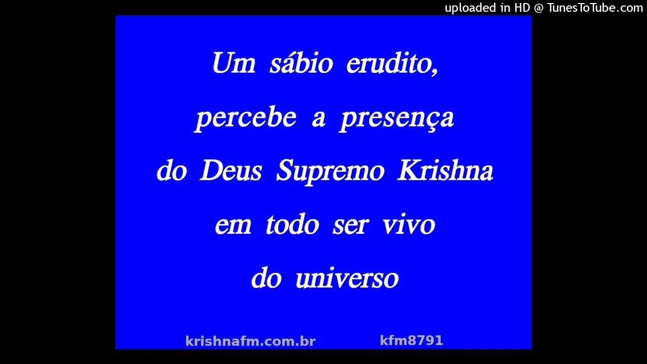 Um sábio erudito, percebe a presença do Deus Supremo Krishna em todo ser vivo do universo kfm8791